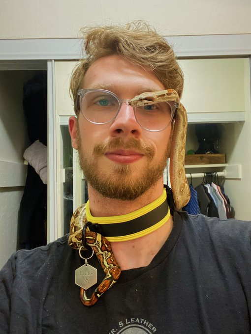 No porn this time, just a boi and a snake. This is all. https://t.co/gGhgh23tXp