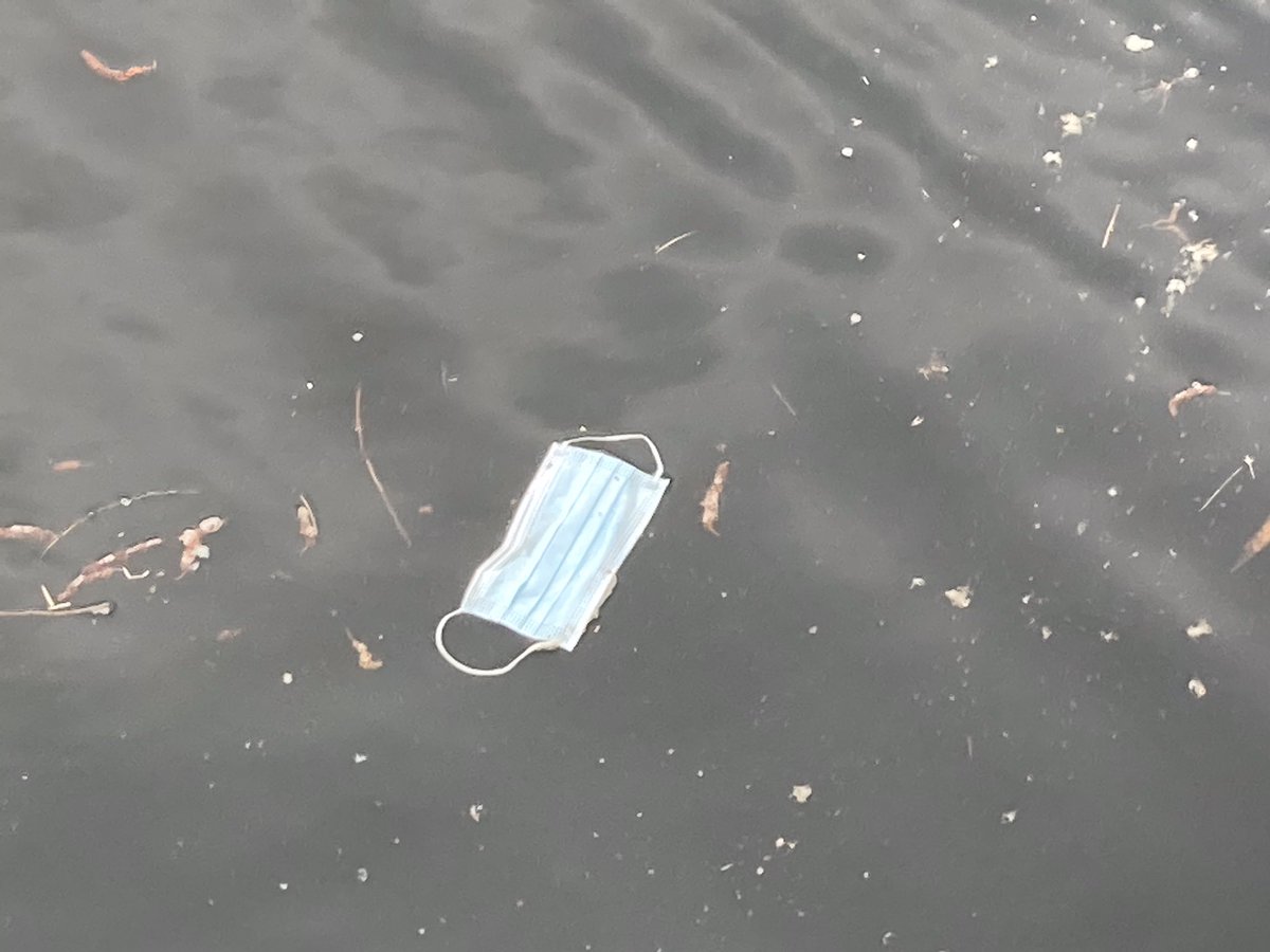 #AprilDeskEscape So sad to find so many face masks like that one ...  Did you know that many of these surgical masks are made of a combination of absorbent fabrics, polyester, and common plastics such as polypropylene or polystyrene?  Let’s save the planet.