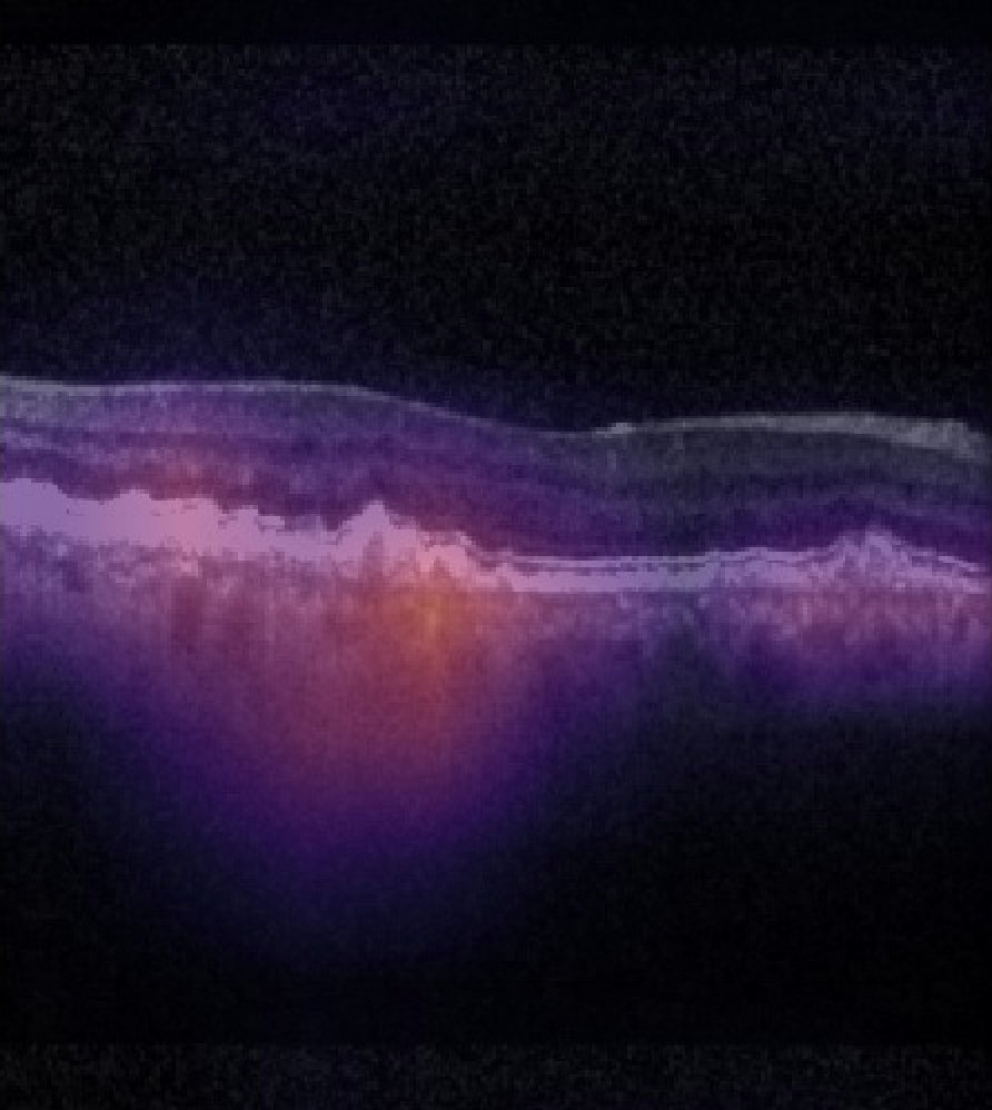 Nadav Rakocz tweet media