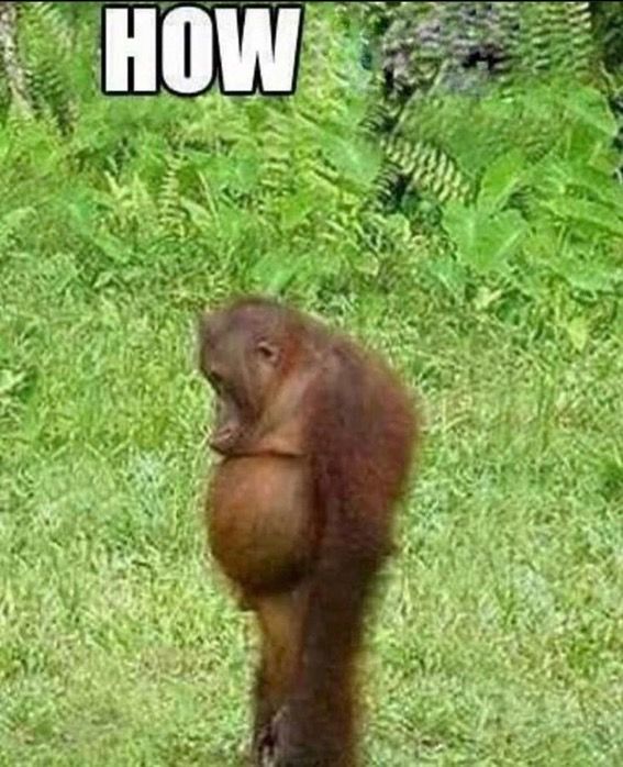 𝐋𝐀𝐃𝐘 𝐑𝐇𝐄𝐀🔞 (@ladyofseiros) on Twitter photo 