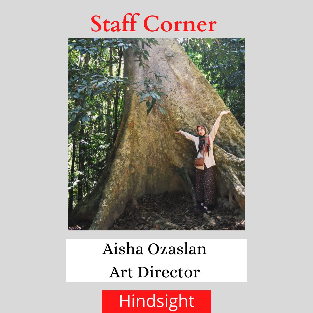 Hindsight Journal tweet media