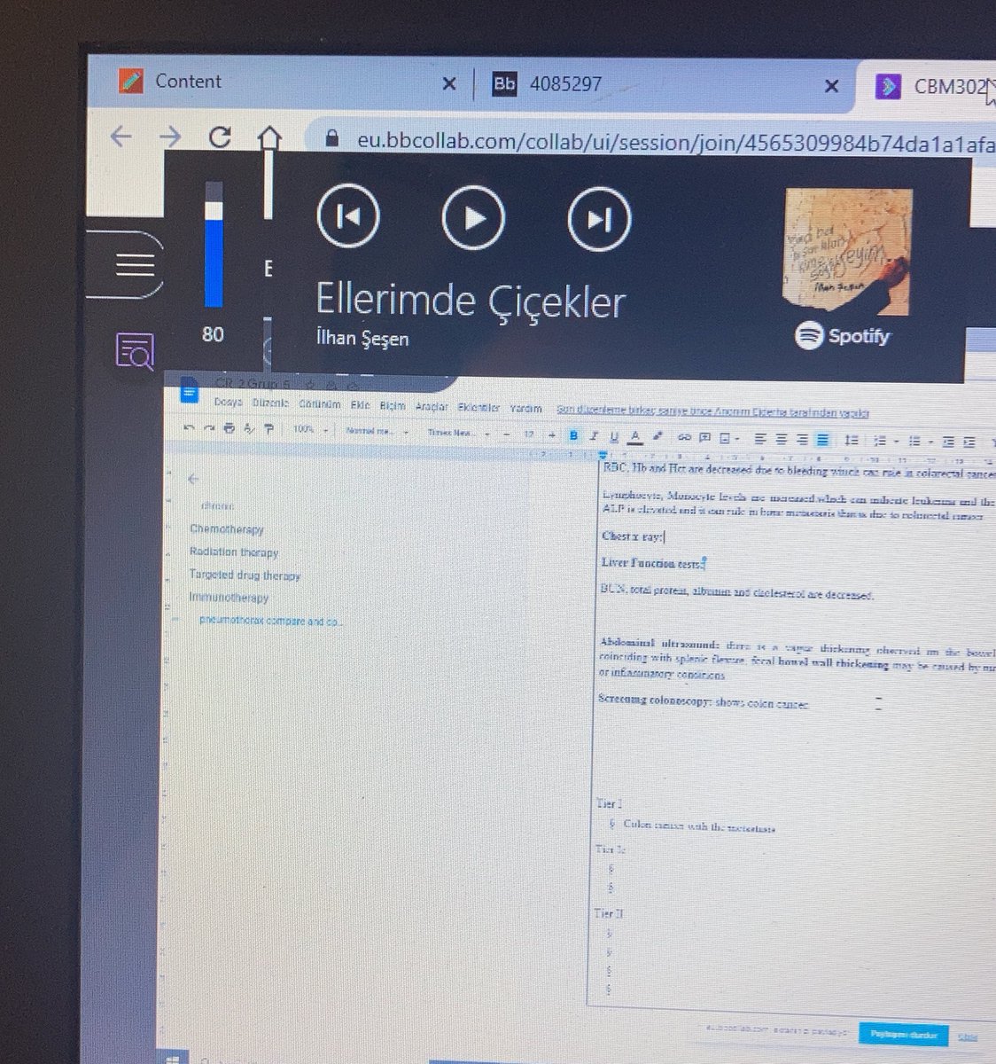 Sunum sirasinda ekran paylasirken herkesin ilhan sesen dinledigimi ogrendigi bir gun oldu