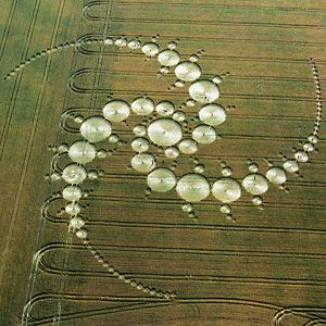crop circles were originally pretty basic geometric designs, and no fractals as crop circles appeared until after Mandelbrot "invented" them in the 90sthere's no conceivable reason why the UFOs would suddenly start doing fractal crop circles: ipso facto, it's just humans