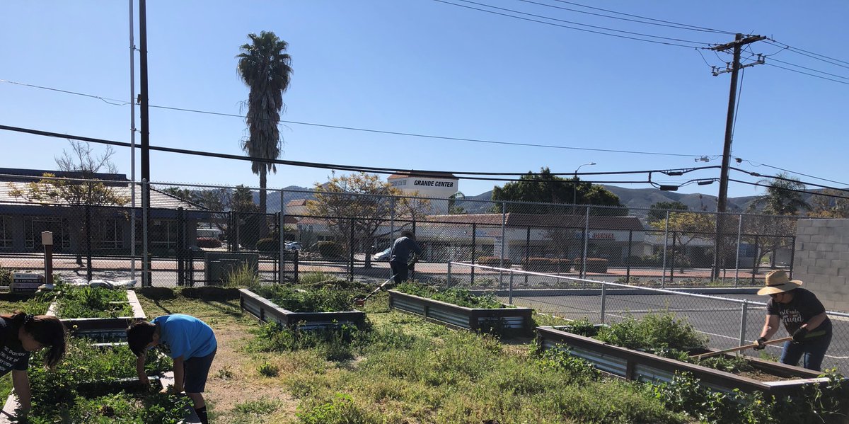 O. Perales (@lma_perales) on Twitter photo The International Peace Garden at <a href="/LMA_SMUSD/">La Mirada Academy</a> needed a cleanup, so Mrs. Moise and her wolf pack got it.
#Balance #AcceptingRespositibilty #SpringBreak The International Peace Garden at <a href="/LMA_SMUSD/">La Mirada Academy</a> needed a cleanup, so Mrs. Moise and her wolf pack got it.
#Balance #AcceptingRespositibilty #SpringBreak