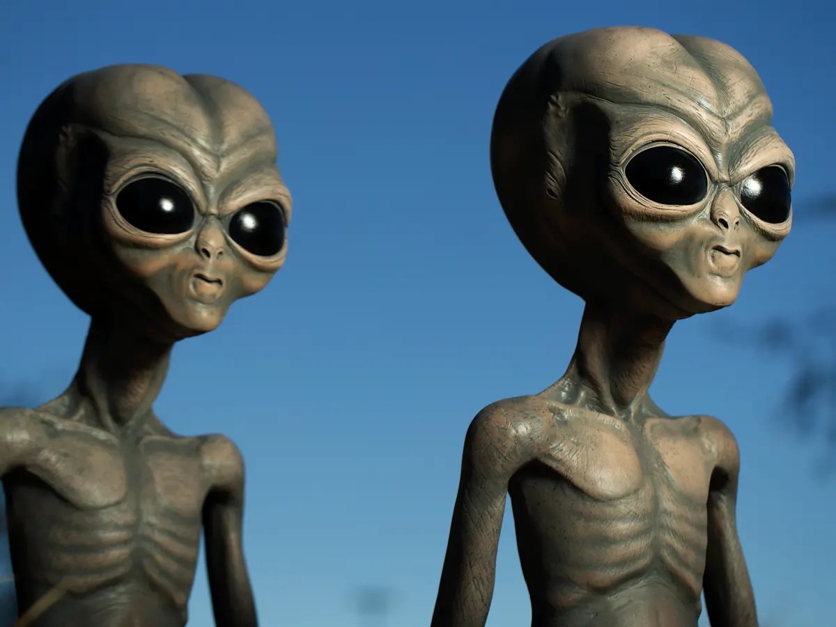 so if I basically don't believe in aliens, what are we talking about w/r/t abductions? let's pivot for a minute