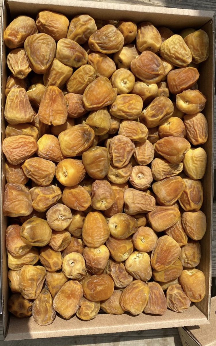 صووور طبيعيه ما عندنا لف ودوران وفوتوشوب 😜