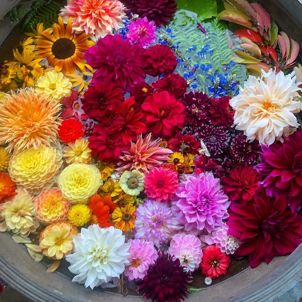 ❤️🧡💛💚💙💜🖤🤍🤎
Just like the weather, I’m a believer that colour can truly affect your mood.

With spring upon us Mother Nature will soon be at her best hoping to lift all our spirits! 

Spotted this floating flower head creation when wondering aroun… instagr.am/p/CNVpZbnB3sv/