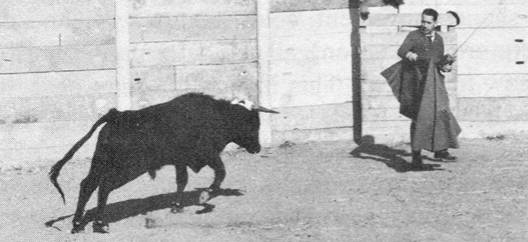 "Delgado stepped into the ring with a bull which had had a stimoceiver implanted within its brain. The bull charged Delgado, who pressed a remote control button which caused the bull to stop its charge. Always one for theatrics, he taped this stunt and it can be seen today."