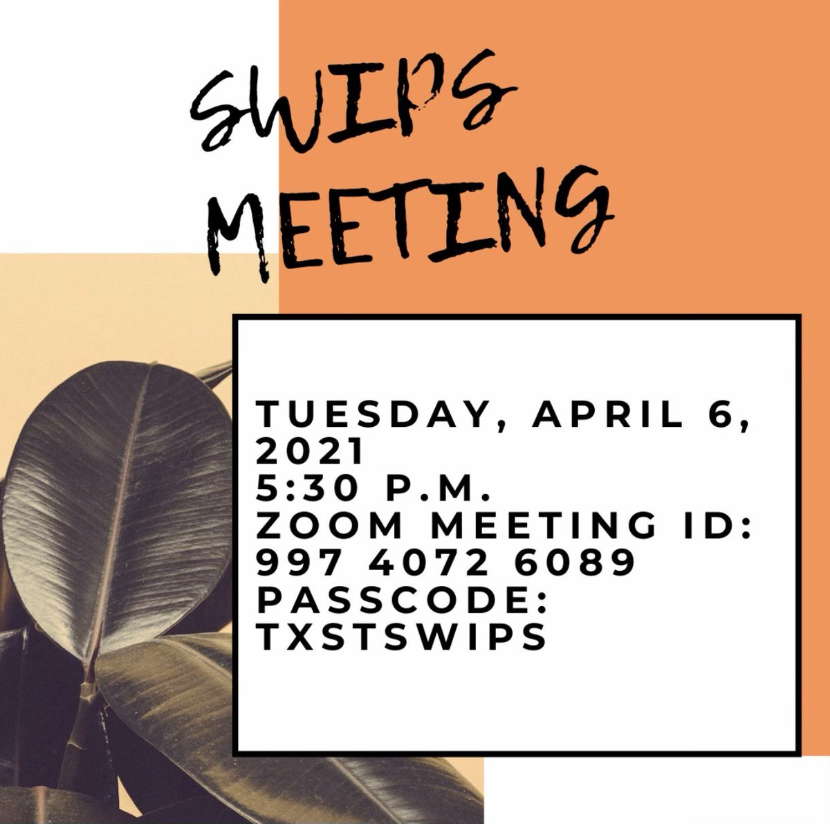 SWIPS TXST (@swips_txst) on Twitter photo 