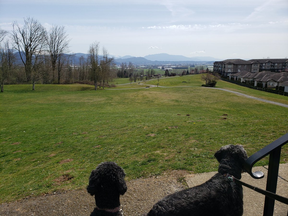 bryanberry78's tweet photo. Great day for a walk in the park https://t.co/AGPyUdTwCY