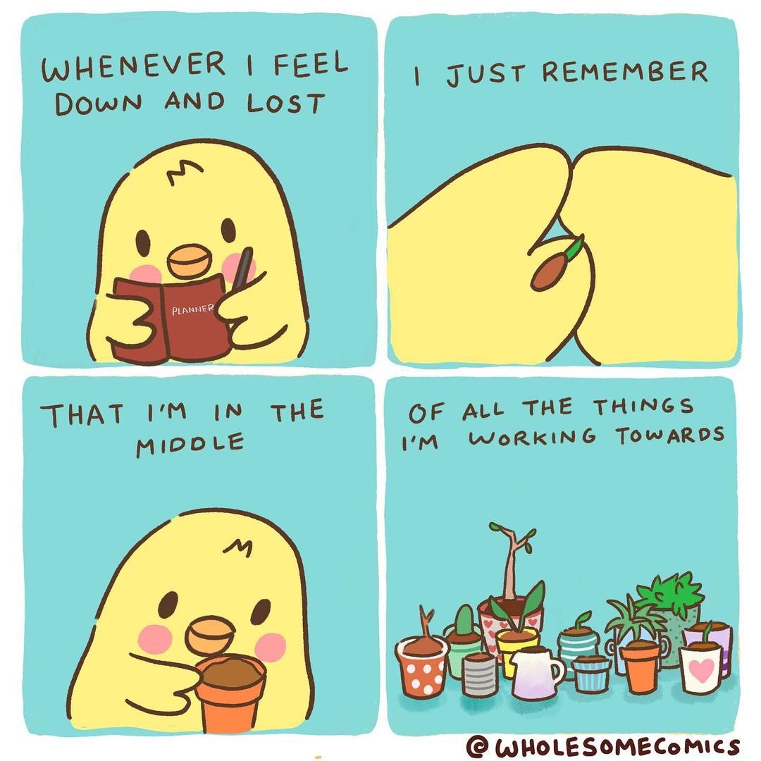 HCStLawrence's tweet image. 🌷😁