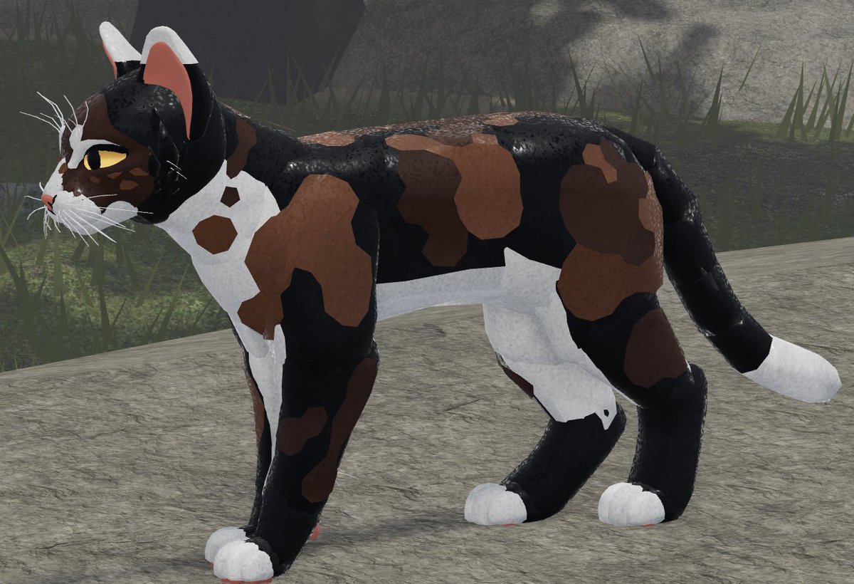 Warrior Cats Ultimate Edition On Twitter Updated Markings And New Markings Which One S Your Favorite - good warrior cat ocs on roblox