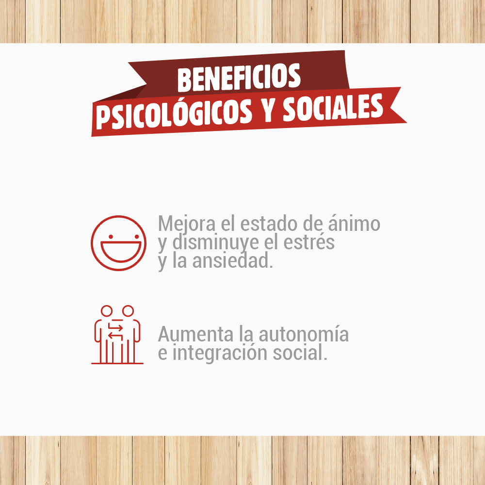 PollosKzeropy's tweet photo. Es el día de la Actividad física y queremos saber ¿Qué es lo que más te gusta de entrenar?
Desde #KZeroCorre, apoyamos corridas y actividades deportivas para que todas las personas puedan disfrutar de ellas. . https://t.co/F2B15ut7Ur