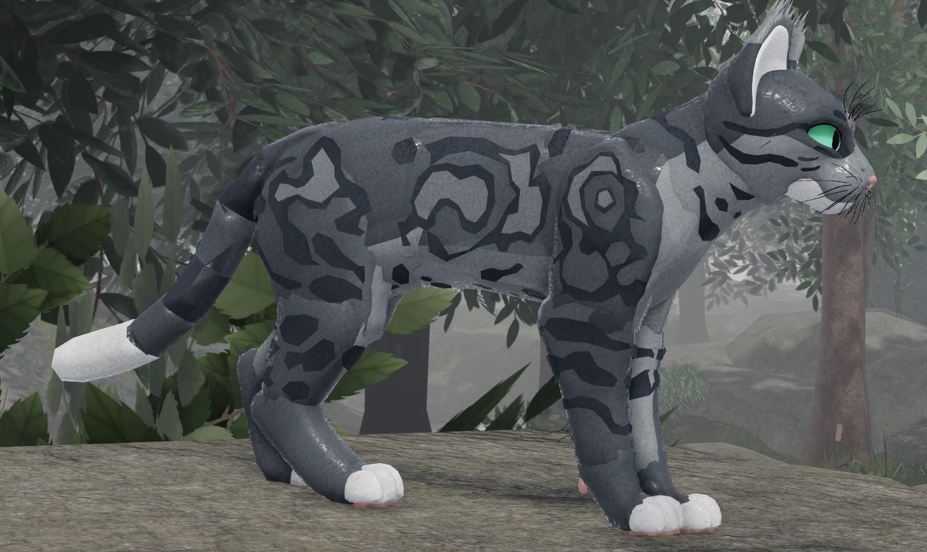 Кот дремот фото из игры. Warrior Cats Ultimate Edition РОБЛОКС. Коты Воители Ultimate Edition. Warrior Cats Ultimate Roblox. Warrior Cats Ultimate Edition Skins ideas.