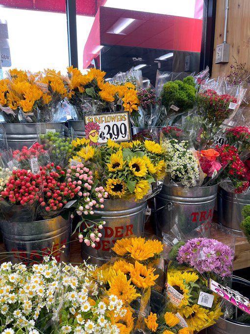 trader joe&rsquo;s trips with zo 🌻 https://t.co/RG8MVE1TOA
