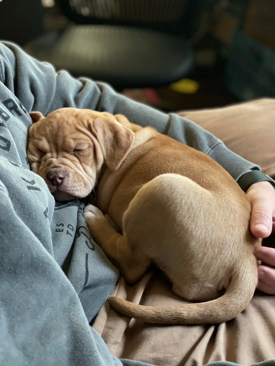 Breakside Brewery tweet media