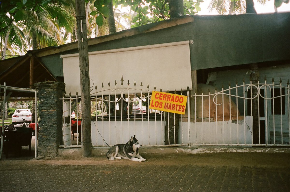 Ran around DR with a thrifted 35mm film camera.