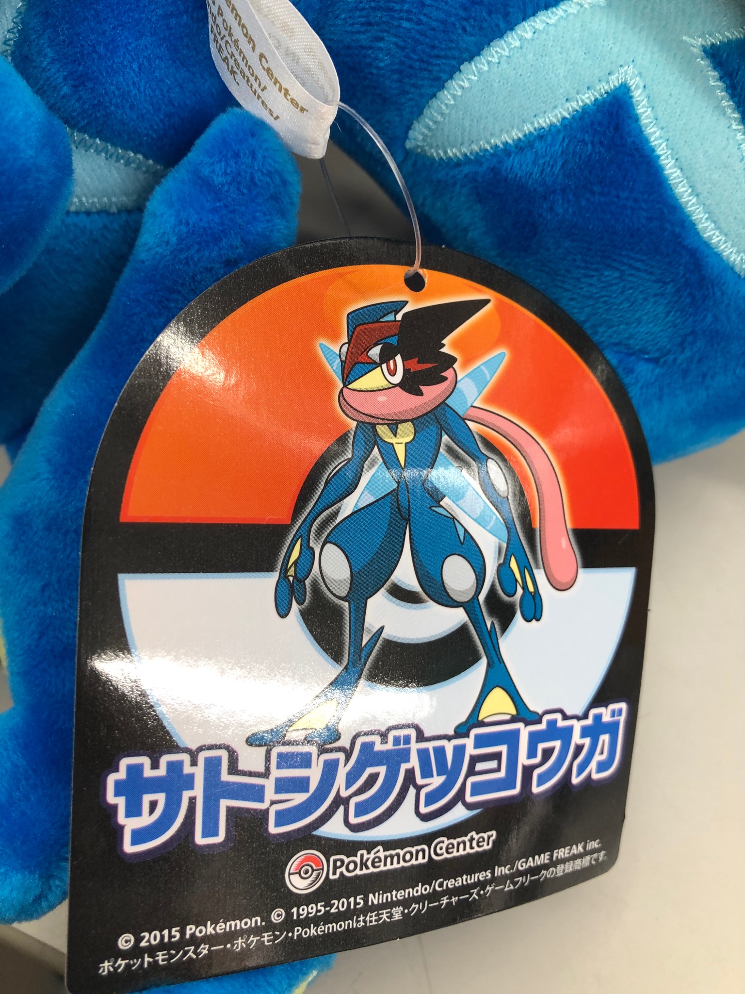 K Books Game館 入荷情報 ポケモン ぬいぐるみ サトシゲッコウガ入荷です ポケモンxy最終回の神作画バトルを思いだしちゃいますよね Kbooks Pokemon ポケモン T Co Cqljgqoele Twitter