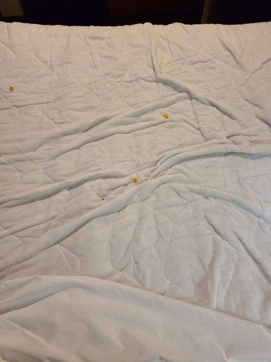 slantshow's tweet photo. @HamptonByHilton hampton inn deerfield beach fl. after being told that we would have to wait till tomorrow for the pack and play for our kid we open the pull out bed to blood stains and cereal for our kid to sleep on https://t.co/4YuFrSsDSu