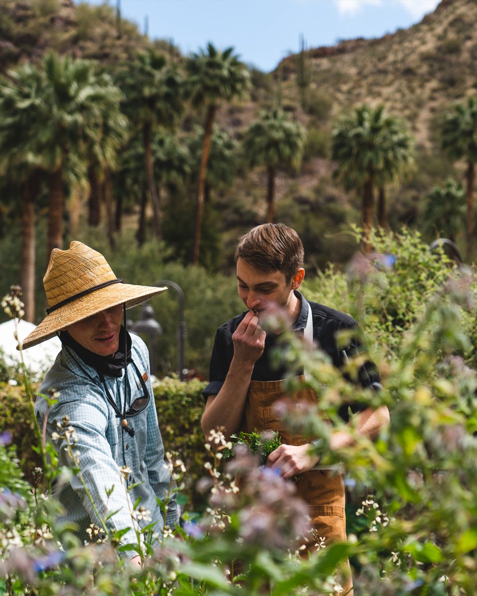 Farm to Table like you’ve never experienced before. Take a look at how our culinary and farm teams work together to create a masterful dining experience. 

Learn More: castlehotsprings.com/blog/true-farm…
