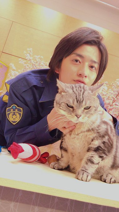 ビビもネコ用ケーキをもらったにゃ うまうま 捜査一課長 ビビもネコ用ケーキをもらったにゃ うまうま 捜査一課長