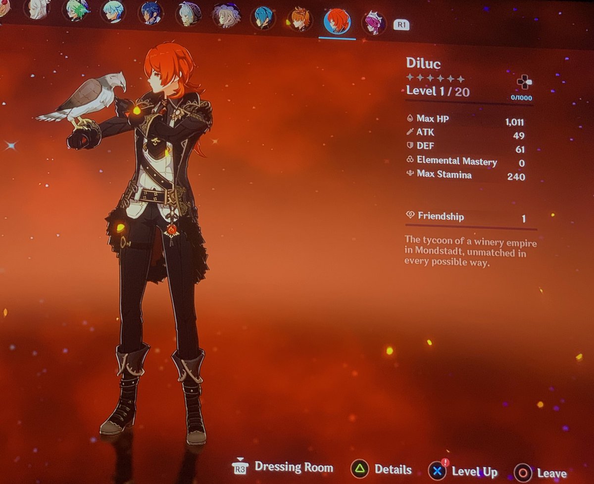 RealDealKirito's tweet photo. So I really just pulled childe, Diluc &amp; Rosaria &amp; had absolutely nothing prepared to build them with https://t.co/S0W4IUqPpK