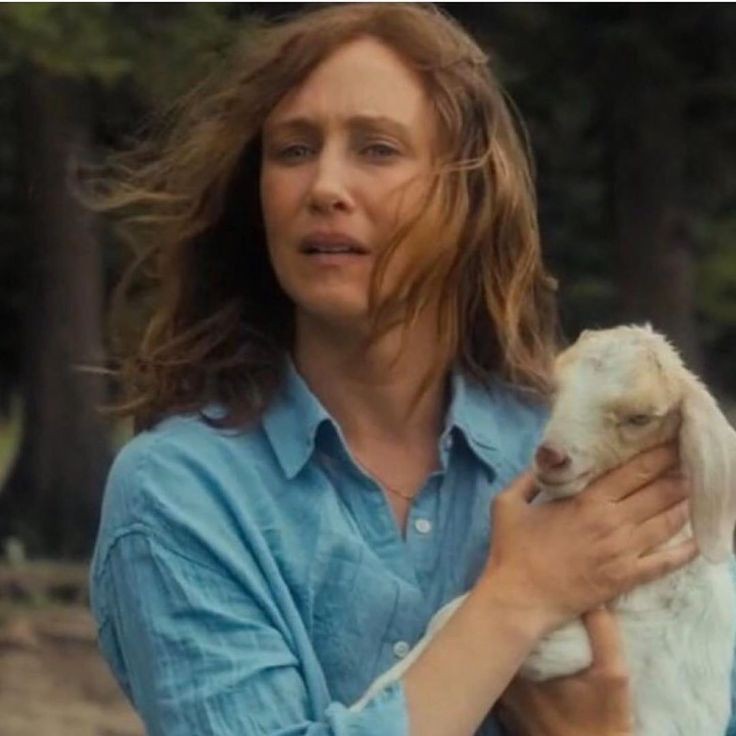 JusticeCaelis's tweet image. 