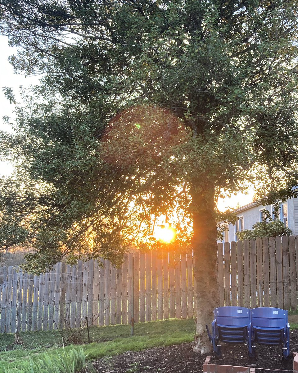 Ready for Game 5 of this long <a href="/Phillies/">Philadelphia Phillies</a> season #vetseats #skyporn #philliesbaseball #grillinandchilling #fthemets