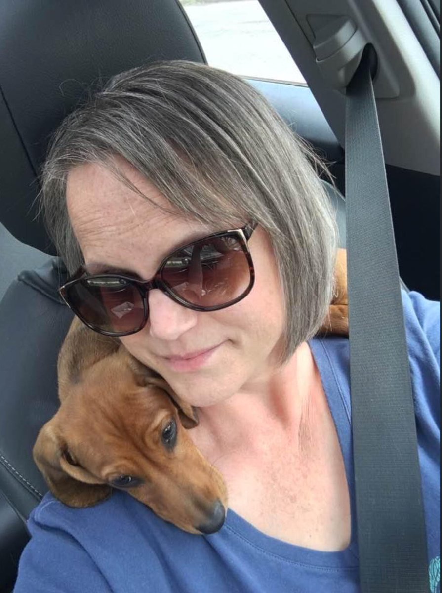 BoschDachshund's tweet photo. I’m pooped after voting for a local election for the animal shelter. No better place then wrapped around mom. 😴🐶 #VotingDog #Dachshund #Doggy #Puppy #Dog #Pup #Spoiled #SpoiledPuppyDog https://t.co/IDiE9JKQcU