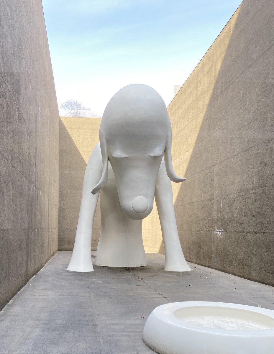 あおもり犬 Live！】 「あおもり犬」ライブカメラでテスト配信をしてい