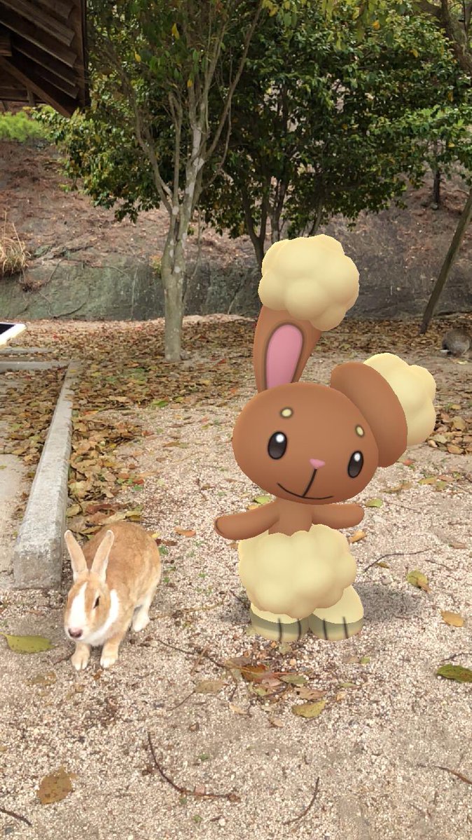 Sora Sk1dt ポケモンgo岡山 Sora Twitter Sora Sk1dt ポケモンgo岡山 Sora Twitter