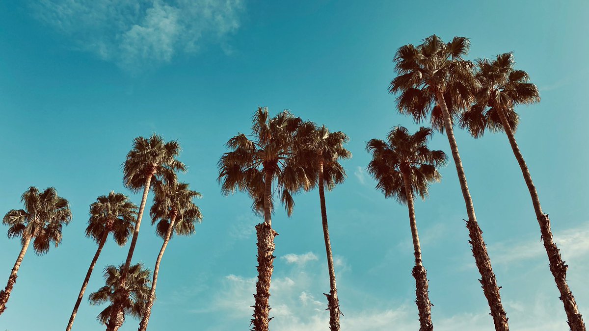 Palm Springs. Poolside. 4:50pm. Best happy hour ever. Head off to Kauai this Saturday morning.
