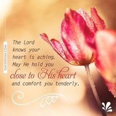 Lily, Annie, Angels Spencer, LuLu, & Tanner! tweet media