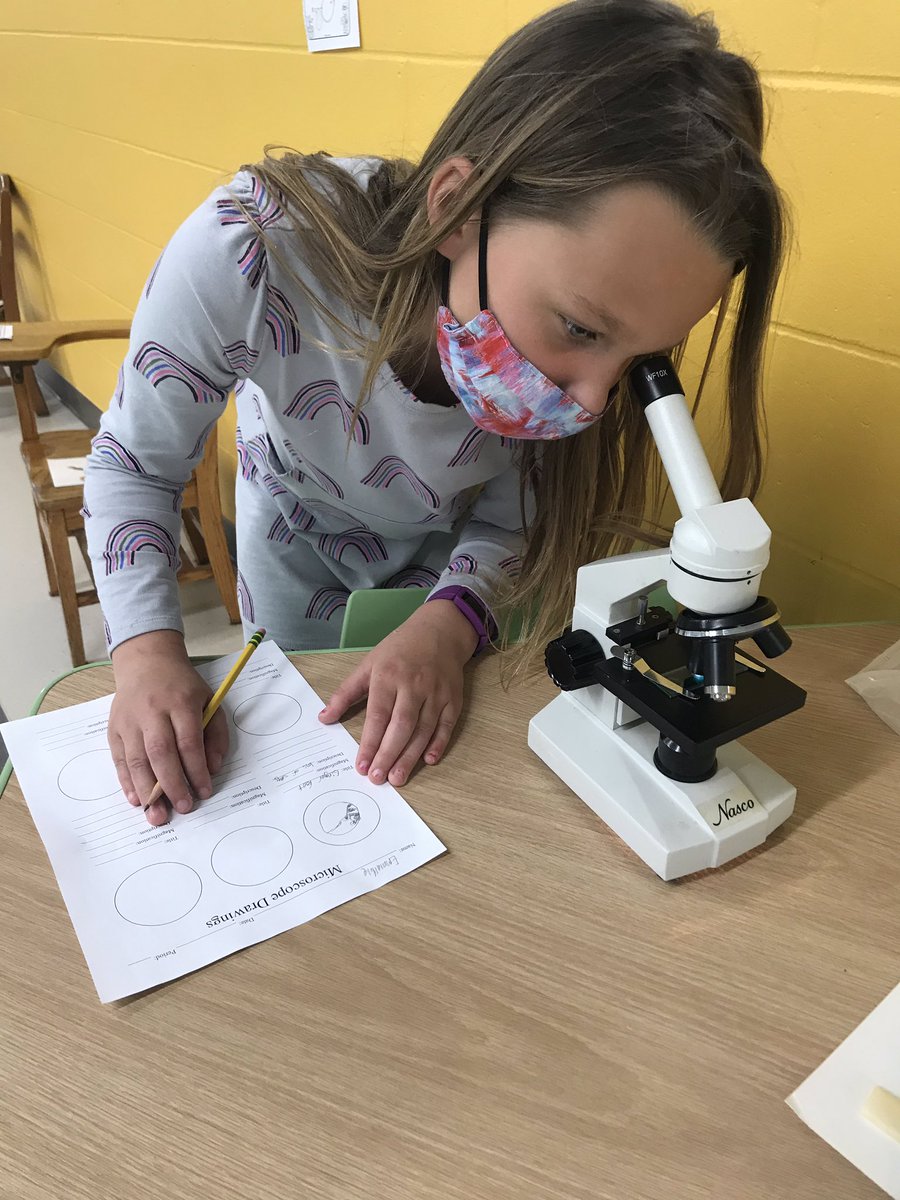 Miss Bass' Class tweet media