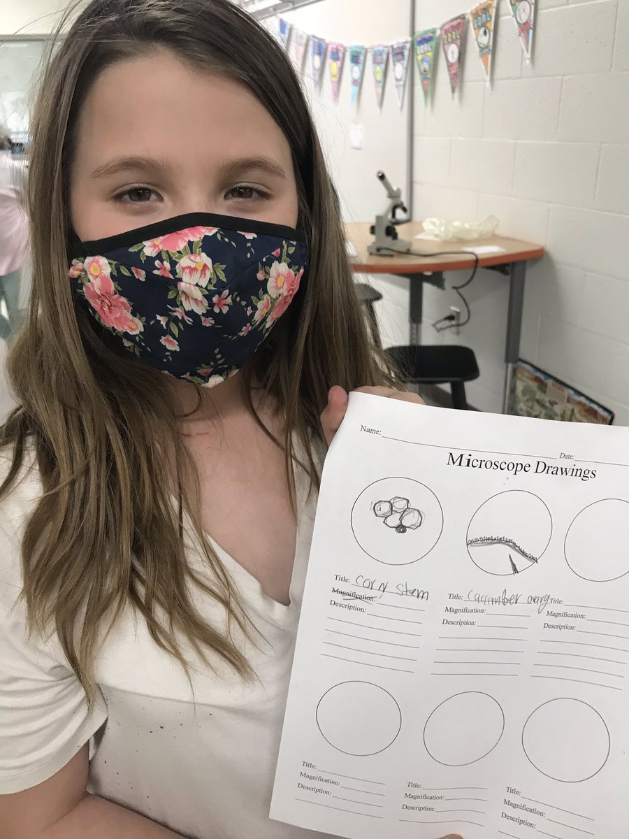 Miss Bass' Class tweet media