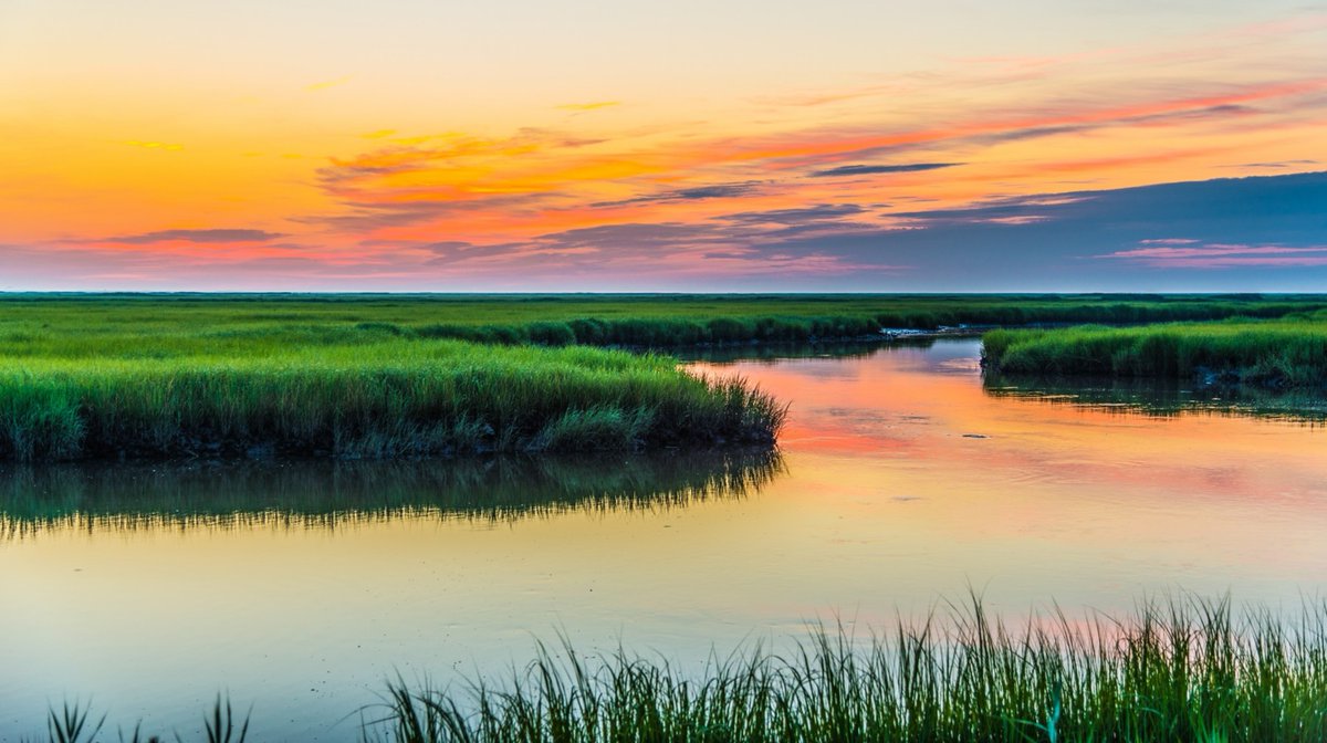 As the pink and orange hues of sunrise paint the sky, the coastal wetlands of Bombay Hook National Wildlife Refuge enter a new day. This #Delaware refuge protects one of the largest remaining tidal salt marshes in the region. Photo by David Tally (sharetheexperience.com)
