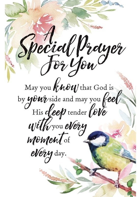 mhmelbourne's tweet photo. @vroberts9 @MissyBlueKitty @Tonithecat32 @BloomNight2 @MariaPulk @SnowFairy29 @sharon_cantley @DonnaLeeThomps8 @Marina935home @marisbellamy1 @ToughGuyMankas @Palmolive_S_Pan @VitCza @1gingerbeauty Oh no, what happen to our sweet #headtuffcat unkie Luis? Me pray he recovers soon and PT help our unkie Luis be home soon๐๐ผ๐พ Mommy Dianne and daddy must be happy to be able to see him soon. Dats wonderpurr ๐๐พ https://t.co/XMBI0CQr5V