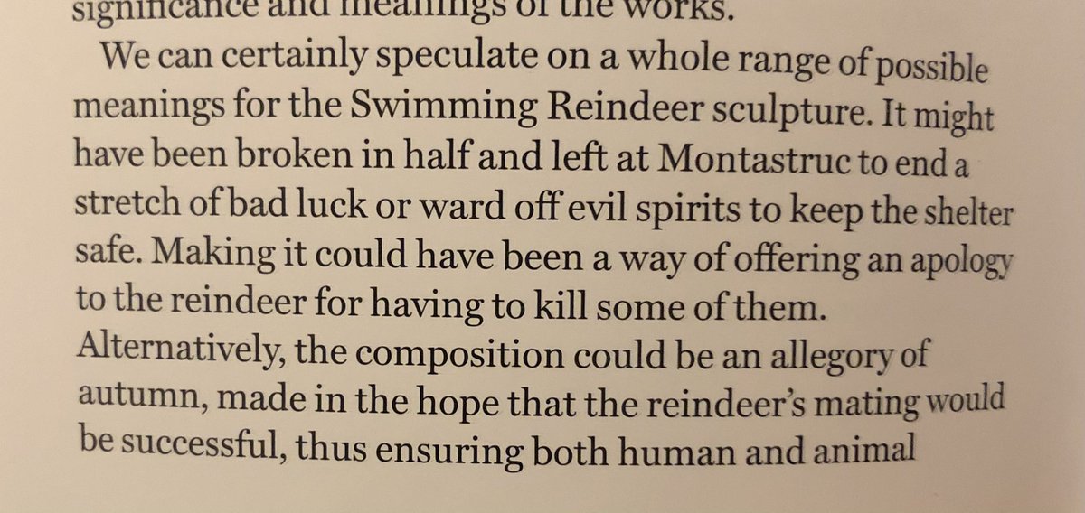 strangely fascinated by the swimming reindeer