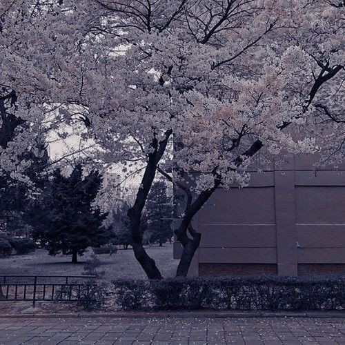 _Karhutar_'s tweet image. 💙АПРЕЛЬСКАЯ ЦЕПОЧКА ТВИТТЕРСКИХ💙

               💙 с тебя:

💙читай меня (#взаимно)

💙делай ретвит

💙читай ретвитнувших

💙будь взаимным

💙 помни, что ты имеешь право на эмоции, ошибки и своё мнение 

*шутка про 0 рт на удачу*

#ЦепочкаФолловеров
#ЦепочкаТвиттерских