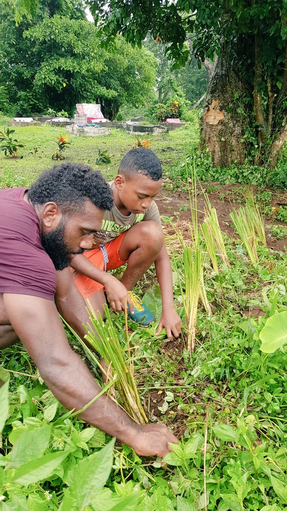 Apolosa Robaigau tweet media