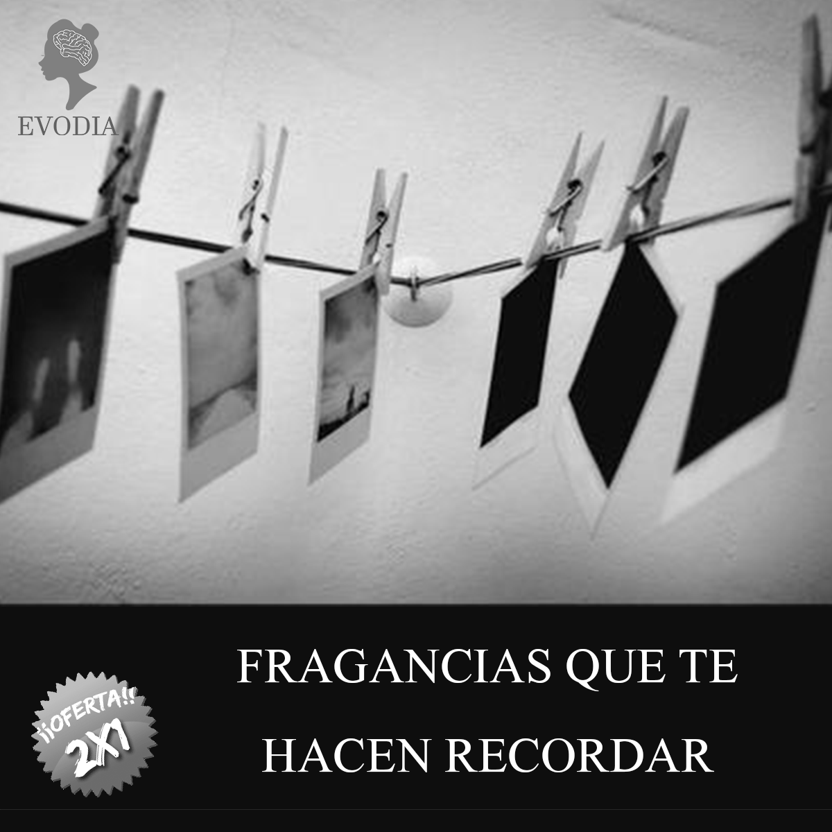 evodiaperfumes's tweet photo. Fragancias que te hacen recordar
#fragancias #Recuerdos https://t.co/lsWP9qC9i1