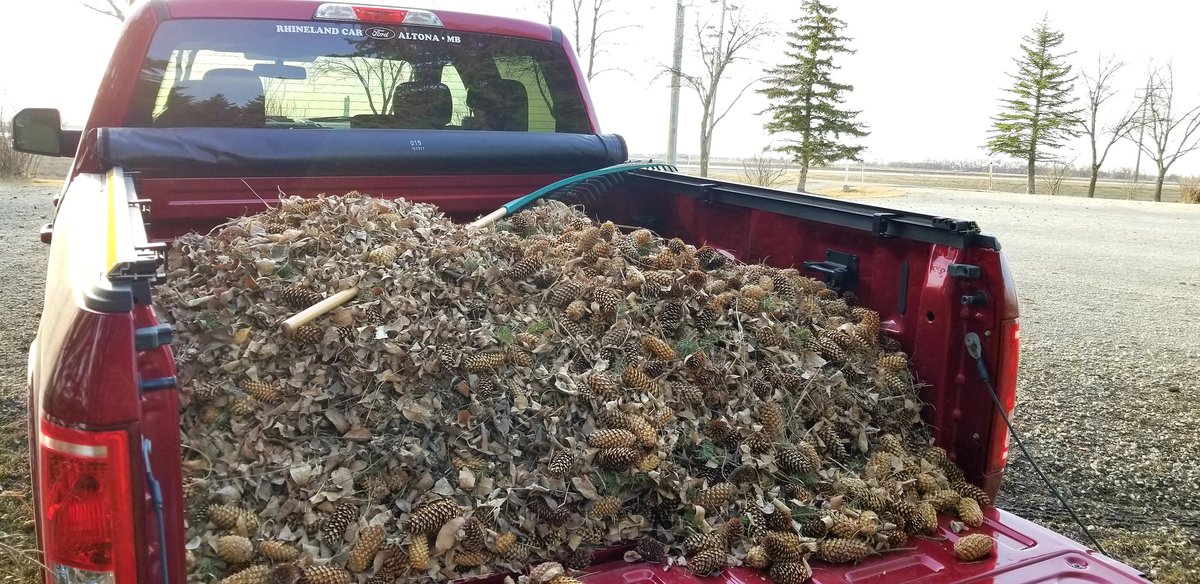 Chris Sumner tweet media