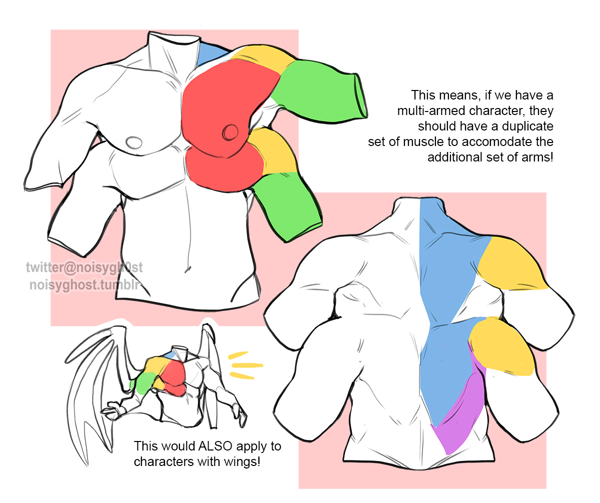 i'm still learning anatomy myself so i wouldn't use this as more than just a general tip but.... I am fascinated by speculative monster anatomy and this is something i discovered years ago and thought i would impart amongst my fellow monster enthusiasts :)