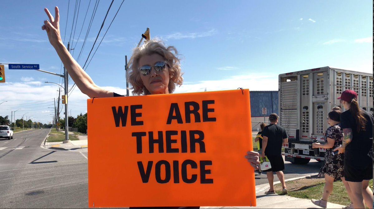Regan would’ve celebrated her 66th birthday today. 

She was struck and killed by a pig transport truck at Fearmans slaughterhouse during a <a href="/TorontoPigSave/">TorontoPigSave</a> vigil on June 19th 2020. 

In honour of Regan’s birthday we ask that you get active for animals. 

#JusticeForReganRussell