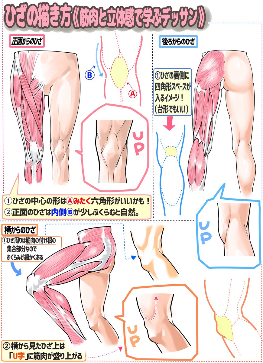 吉村拓也 イラスト講座 ひざの構造と立体感の塗り方図解