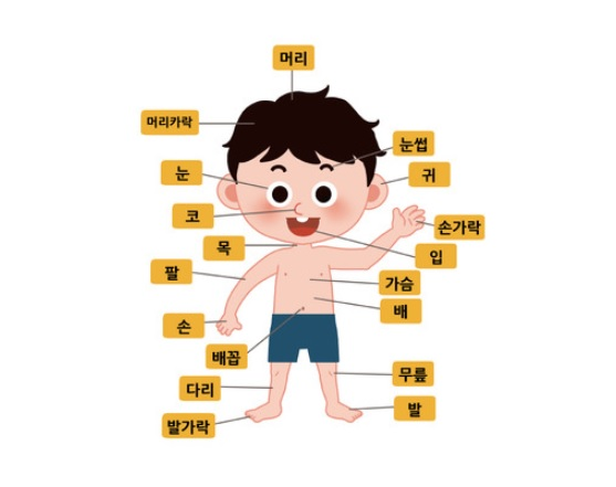 hangeulfess's tweet photo. /hangeul anggota tubuh dalam bahasa Koreaaa :D ada yang udah tau? https://t.co/Q7oE21ELoR
