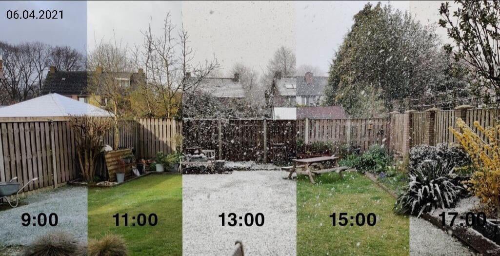 Francis Connelly (@panspans001) on Twitter photo 