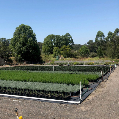 Greenlife Industry Australia tweet media