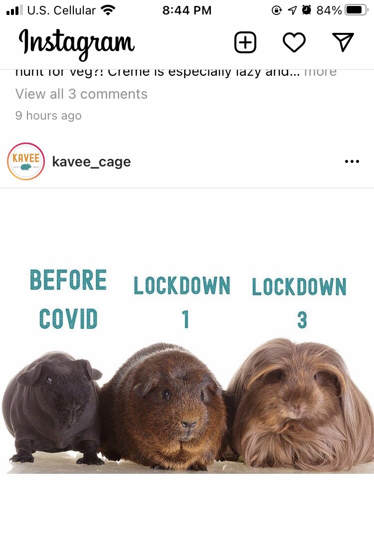 Haha from gram 
See photo for credit