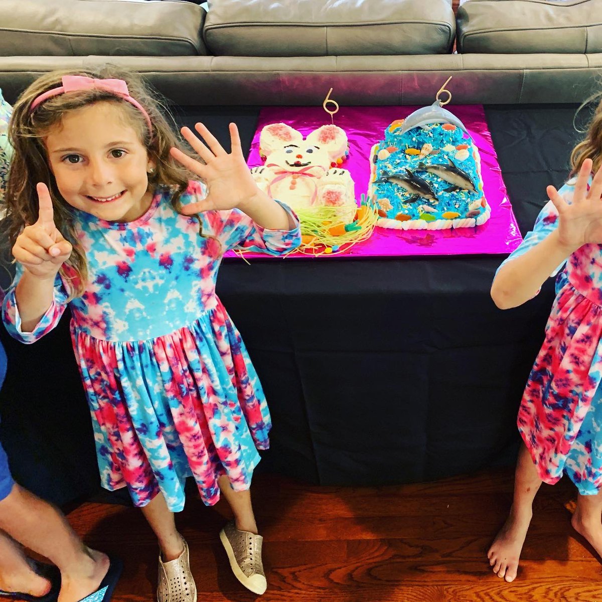 MashingMila's tweet photo. Turned 6 today and got to swim with a 🐬!!! https://t.co/MT6vo8ELhq
